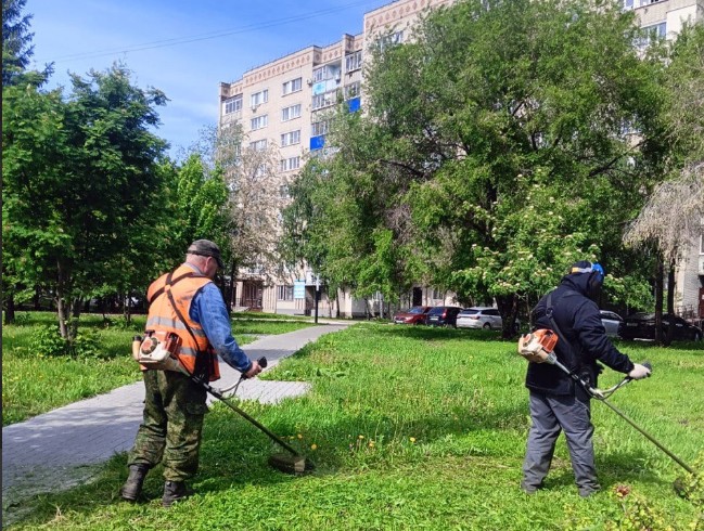 В Кузнецке косят траву, стригут кусты и защищаются от пожаров