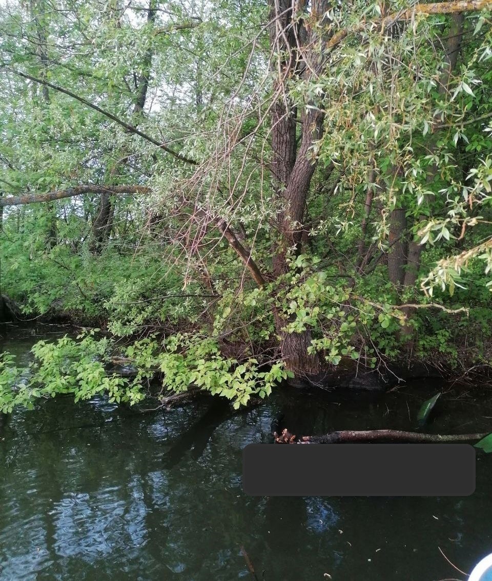 В Пензе завершились поиски пропавшего дайвера Александра Маршацкого – он погиб