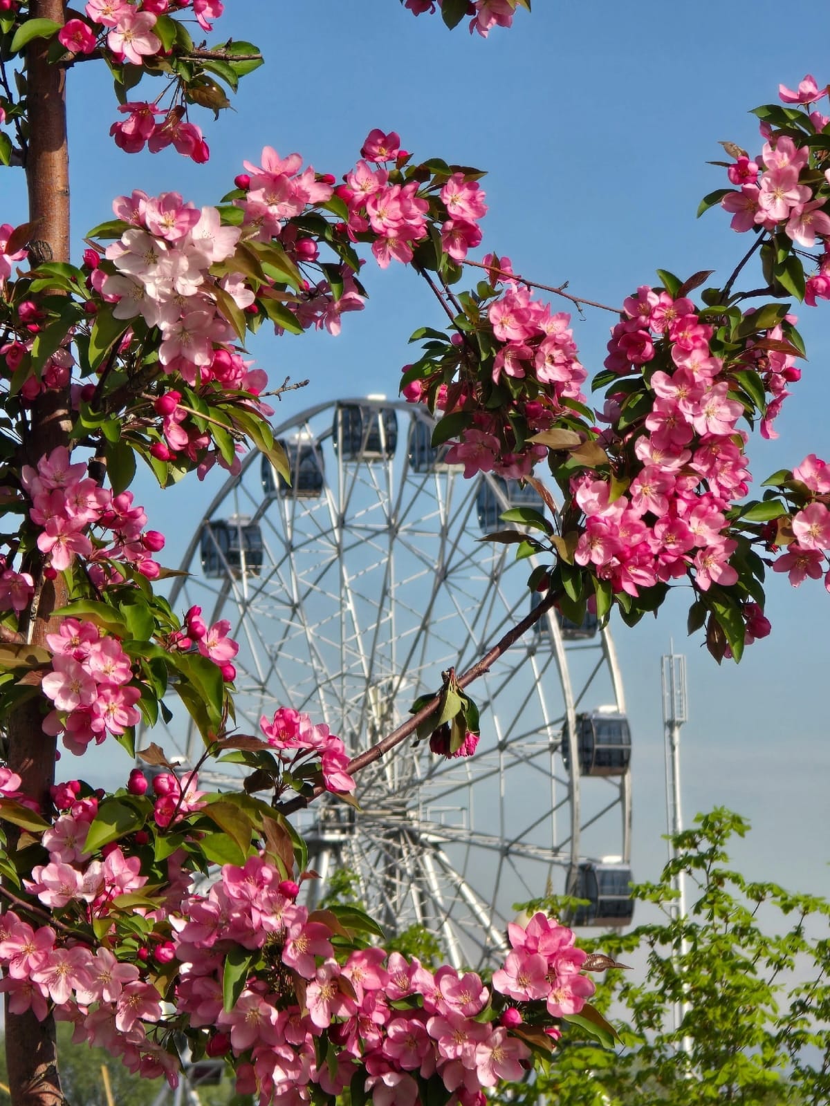 Комфортная погода ожидается в Пензе в понедельник