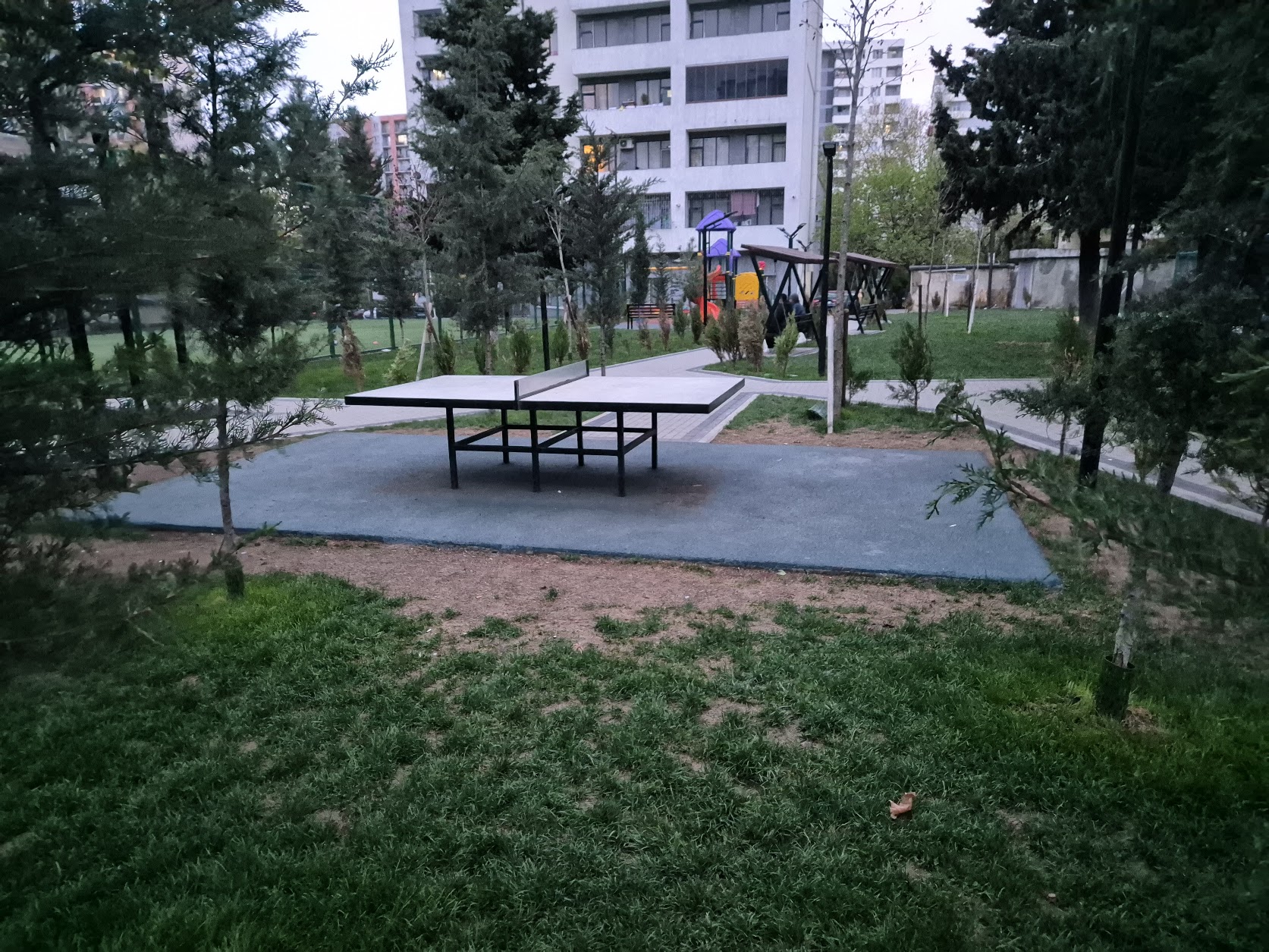 Строительство ФОКа на Шуисте: будет ли бассейн и пустят ли туда пензенцев