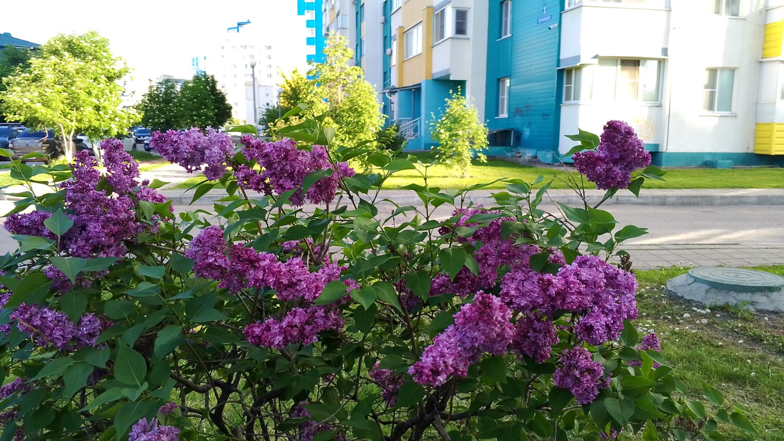 Пензу ждет резкое похолодание до +12 после изнуряющей жары