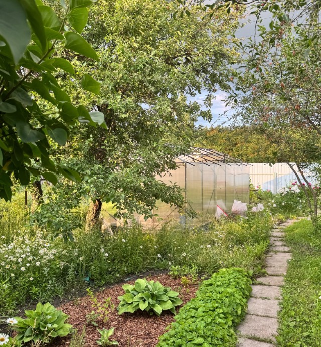 Пензенцы обсуждают в сети съедобность дубовика