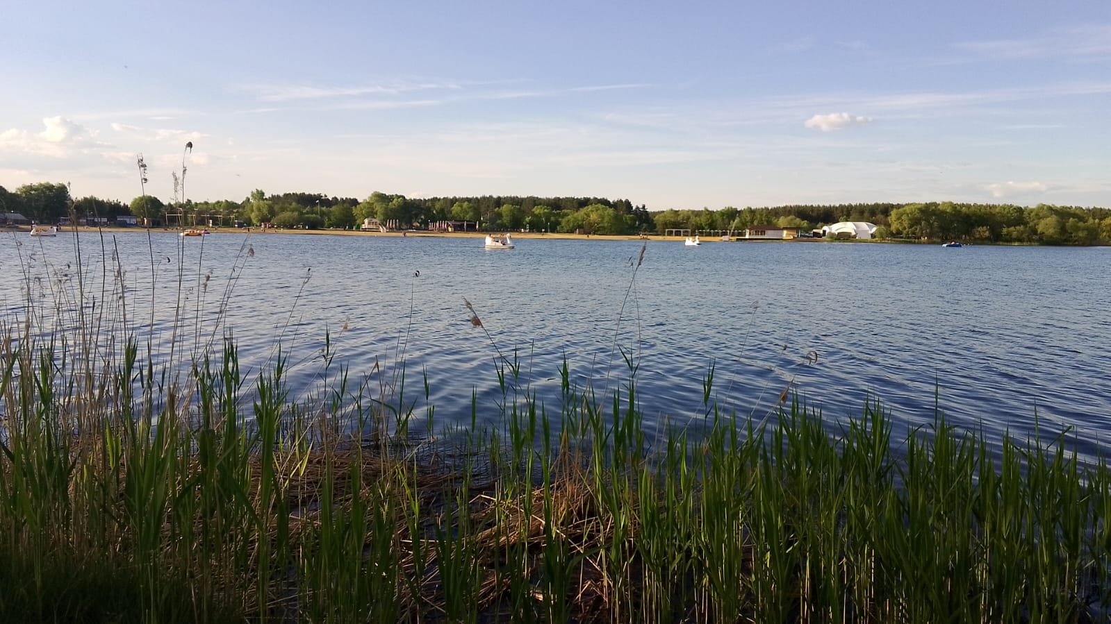 Сердоба в опасности: вода в реке у Сердобска признана загрязненной