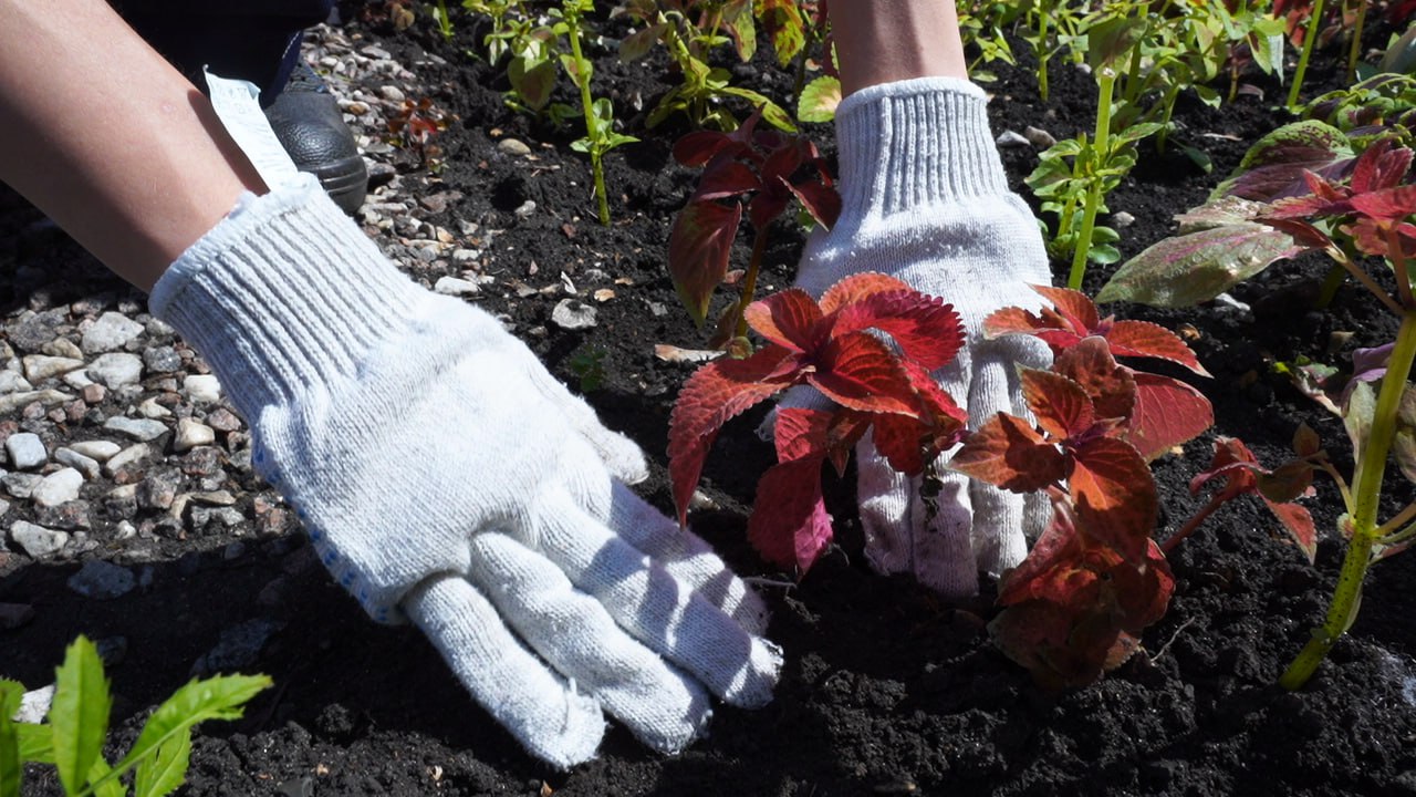 В Пензе 4000 школьников смогут найти летнюю подработку через службу занятости