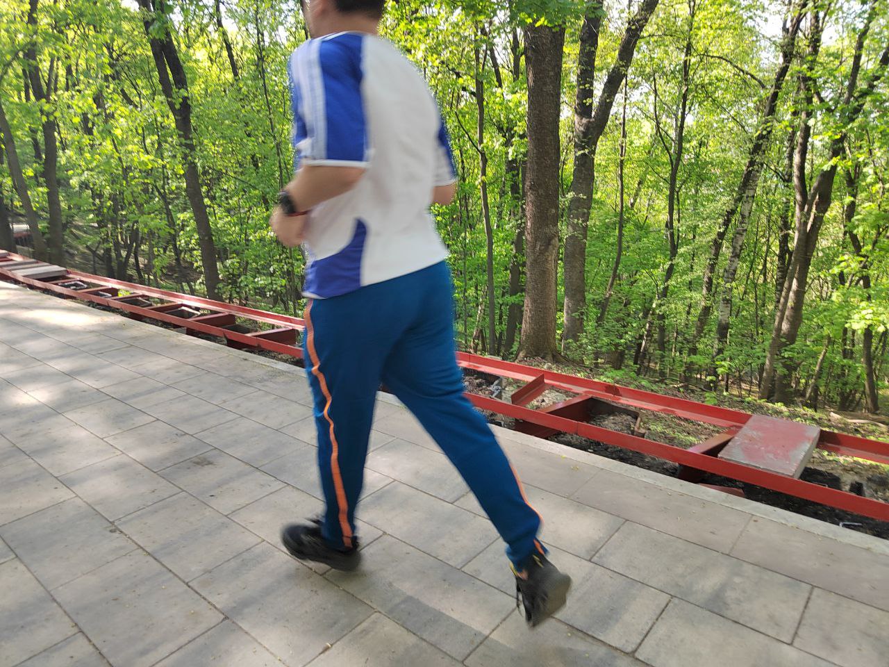 Красиво, но неудобно: пензенцев расстроило отсутствие пандусов на Тропе здоровья