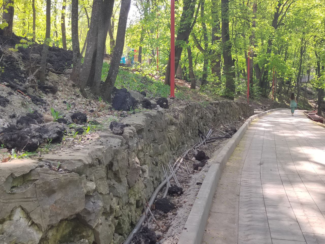 После ливня – ручей: на обновленной Тропе здоровья в Пензе обнаружили проблему