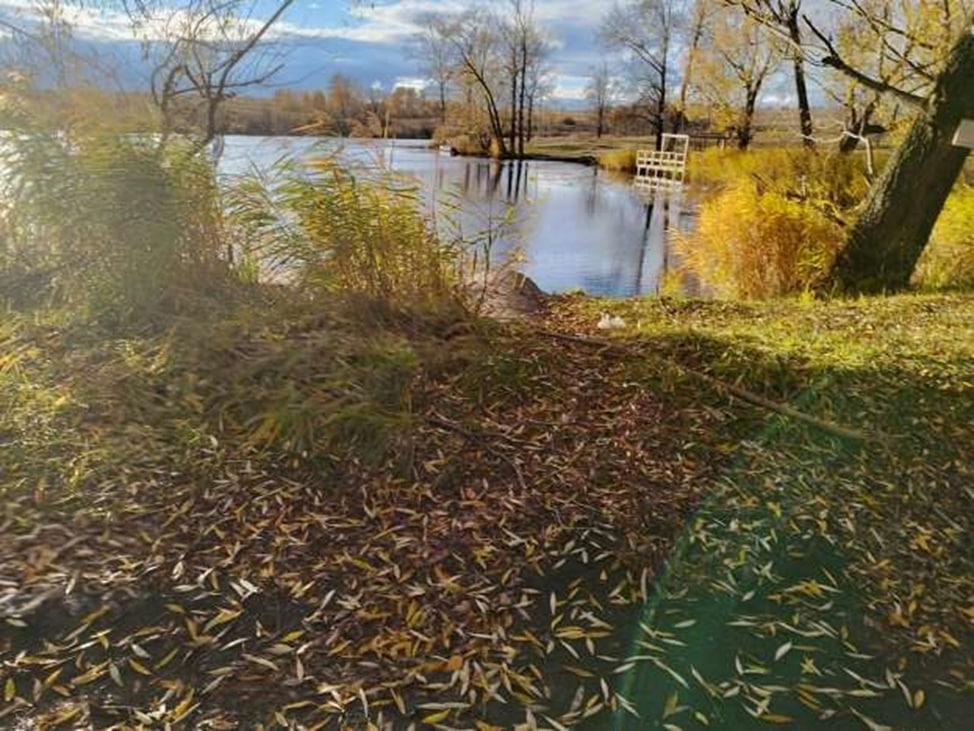 Заросло кустами: как в Пензе спасли гидросооружение от разрушения