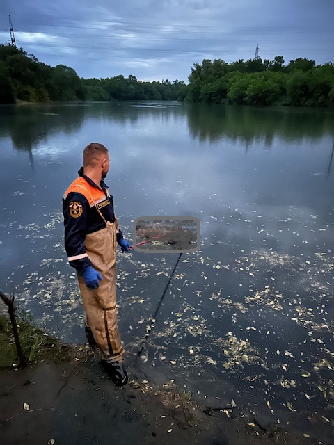 В районе трассы М5 пензенские спасатели достали из Суры тело мужчины