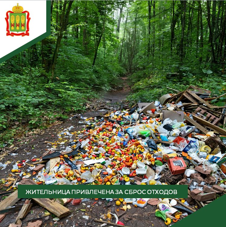 2000 рублей за свалку: пензенцы возмущены мизерным штрафом для нарушительницы