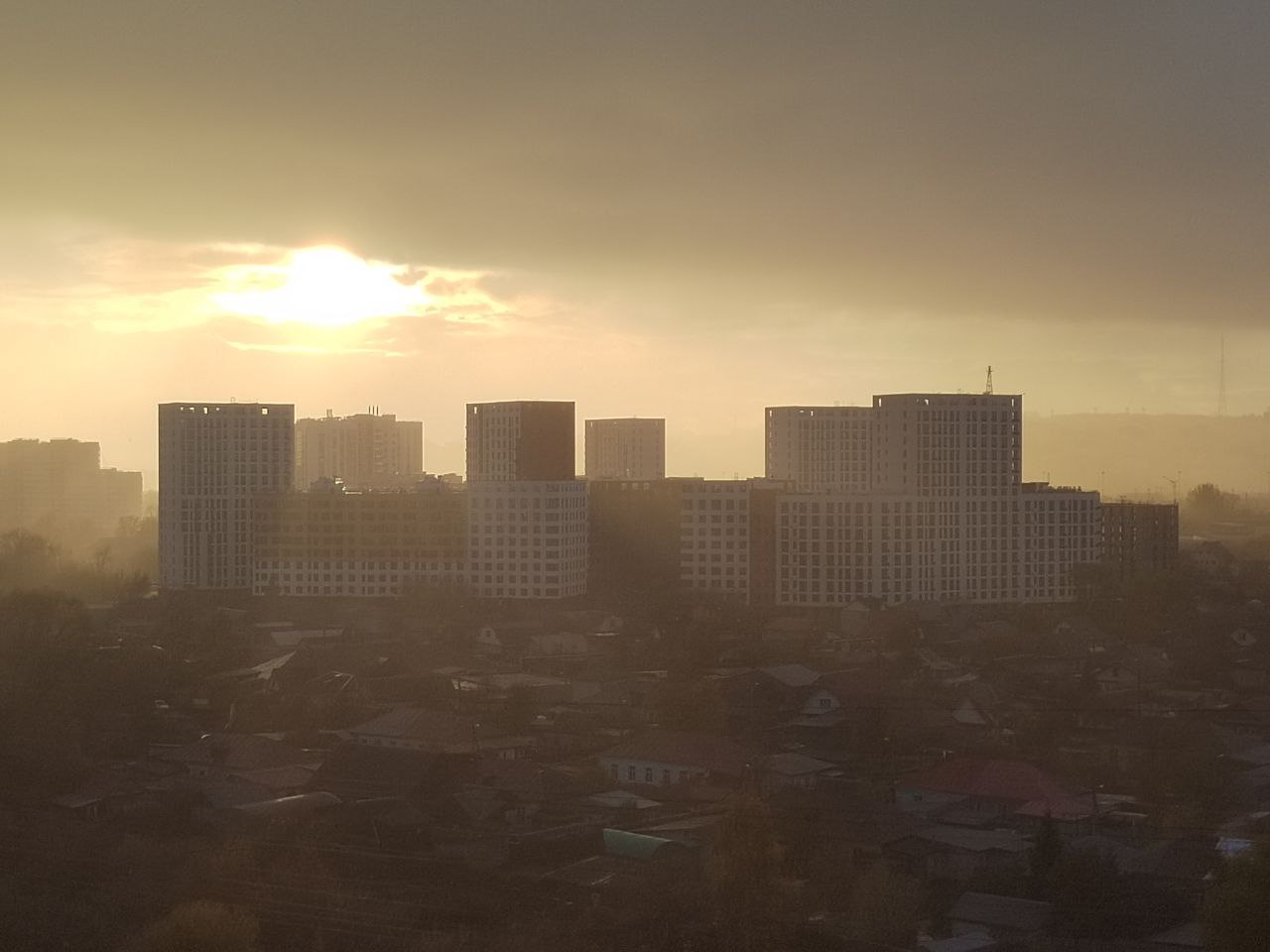 Нашествие слизней и обновление парка «Семейный»: что случилось в Пензе 27 июня