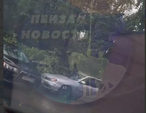 Стихия атакует: Два автомобиля пострадали от падающих деревьев в Пензе