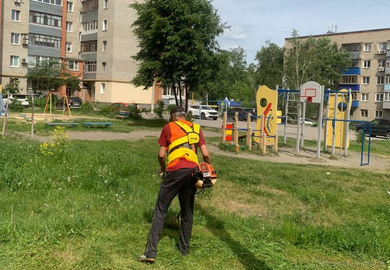 На улицах ГПЗ, Шуиста и Центра в Пензе покосили траву и убрали мусор