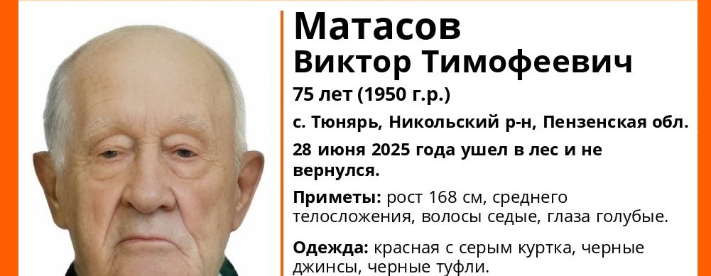 75-летний мужчина пропал в лесу Никольского района: идут поиски