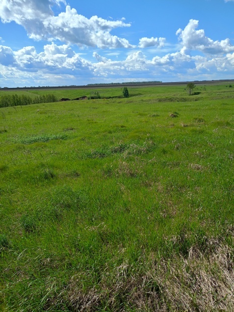 В Мокшанском районе заброшенный сельхоз участок создает пожарную угрозу
