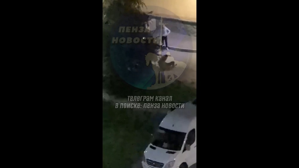 Озверевший Санёк жестоко избил пензенца на Шуисте ночью