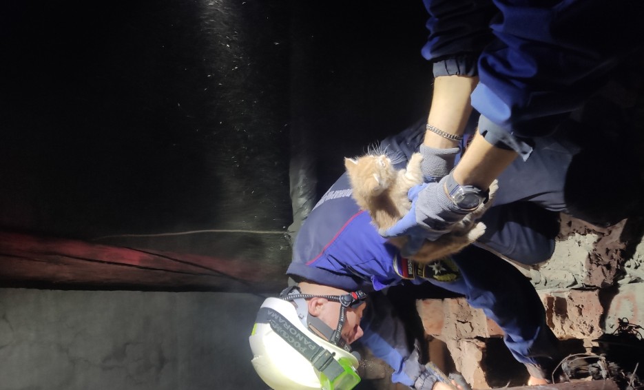 Пензенские спасатели вызволили котят из шахты воздуховода