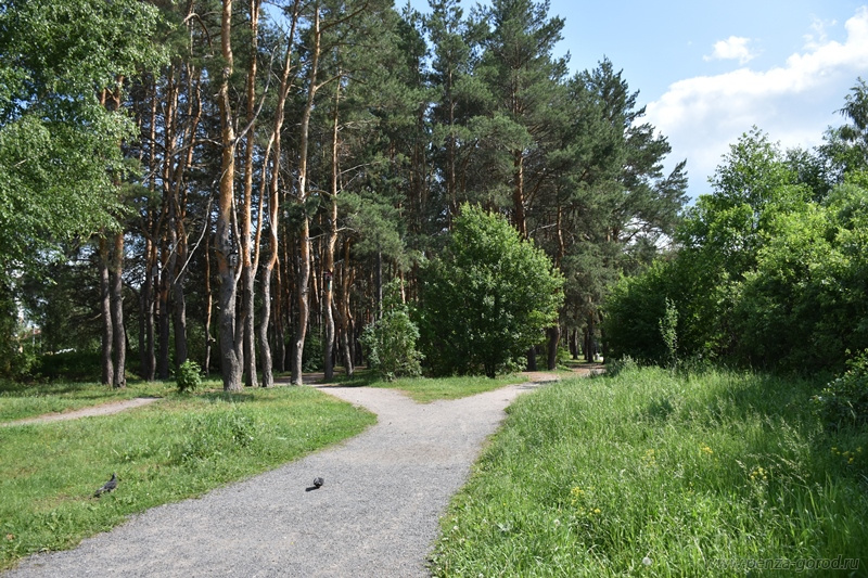 Видеонаблюдение, пандусы и аллеи: как преобразится сквер «Семейный» в Пензе