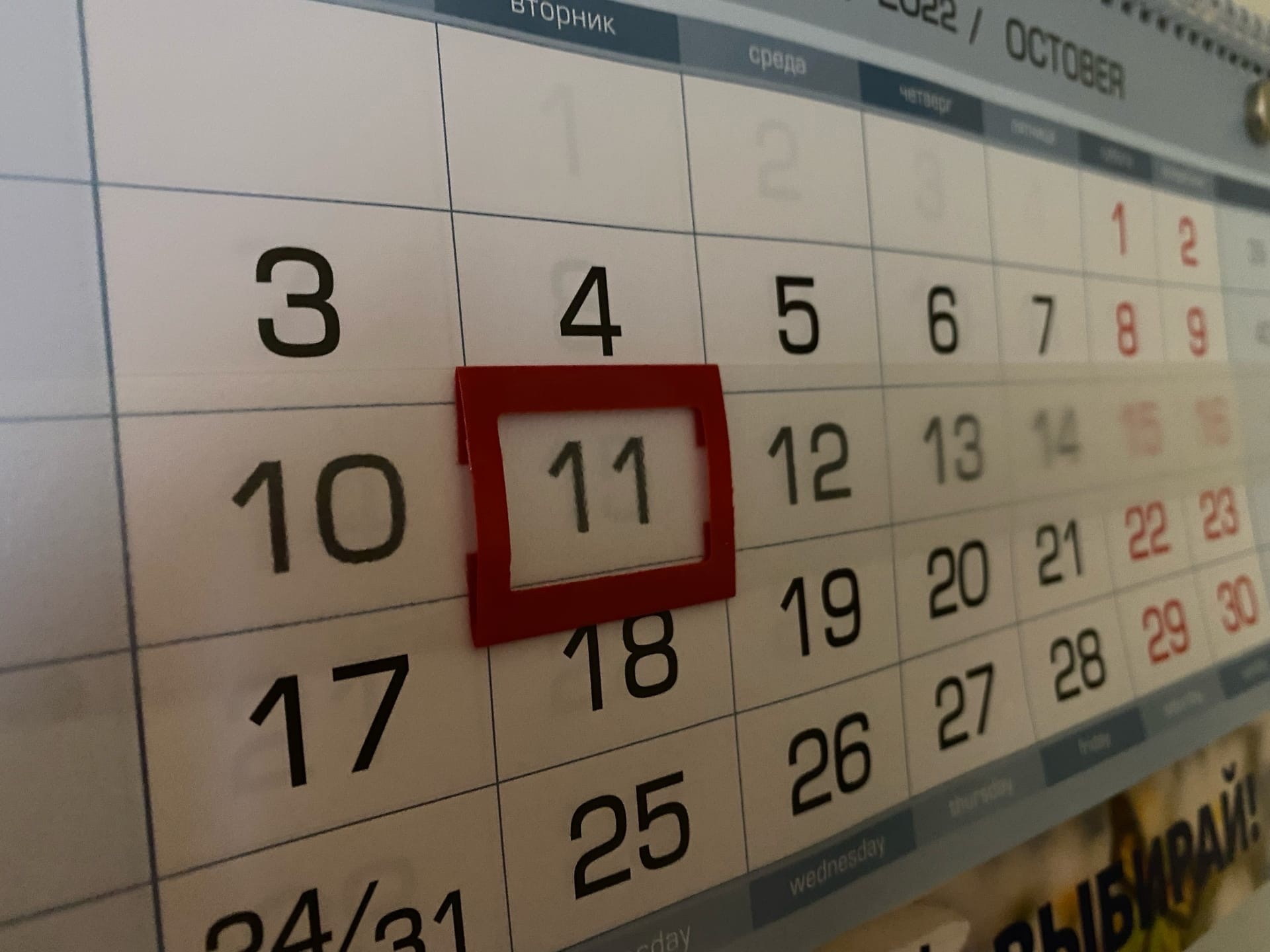 В Госдуме предложили продлить новогодние каникулы до 12 дней