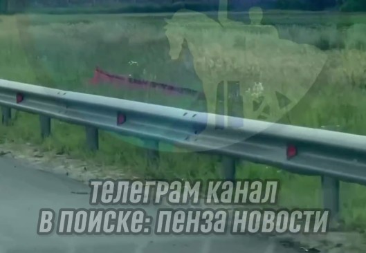 Брошенный на обочине гроб наводит ужас на жителей Кузнецкого района