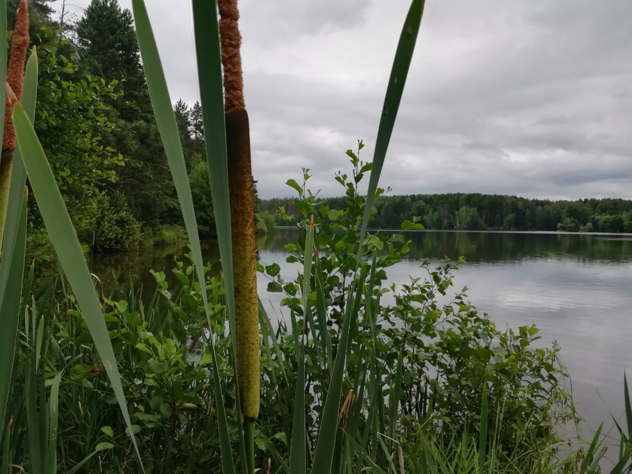 186 гектаров водоемов возвращены государству в Пензенской области