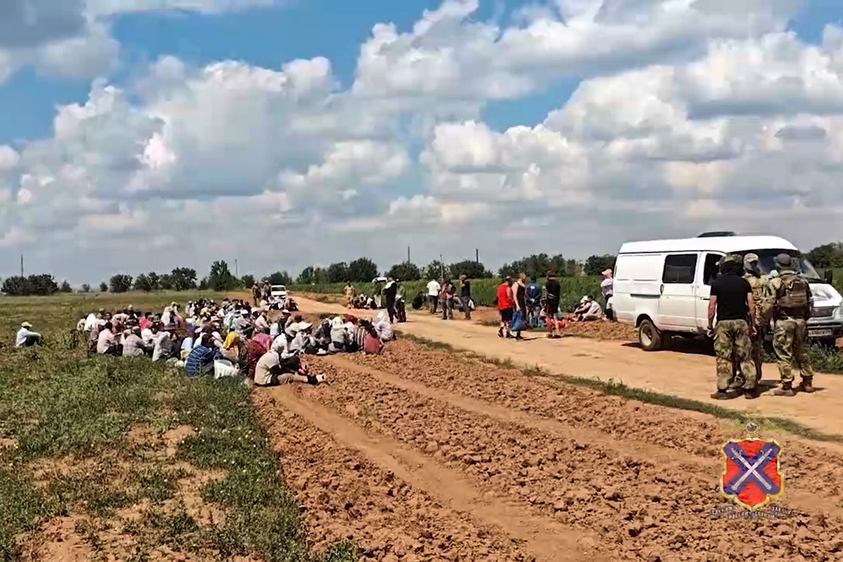 Дроны помогли выявить полсотни нелегальных мигрантов на полях под Волгоградом