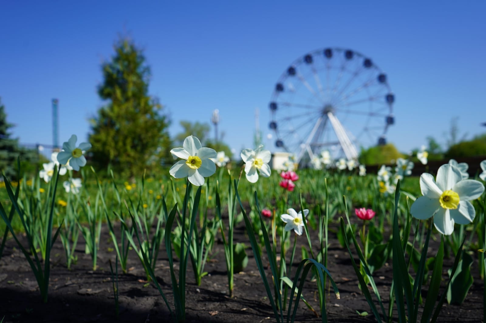 «Раньше гонялись за травой, а теперь проблема»: мэр Кузнецка о покосе