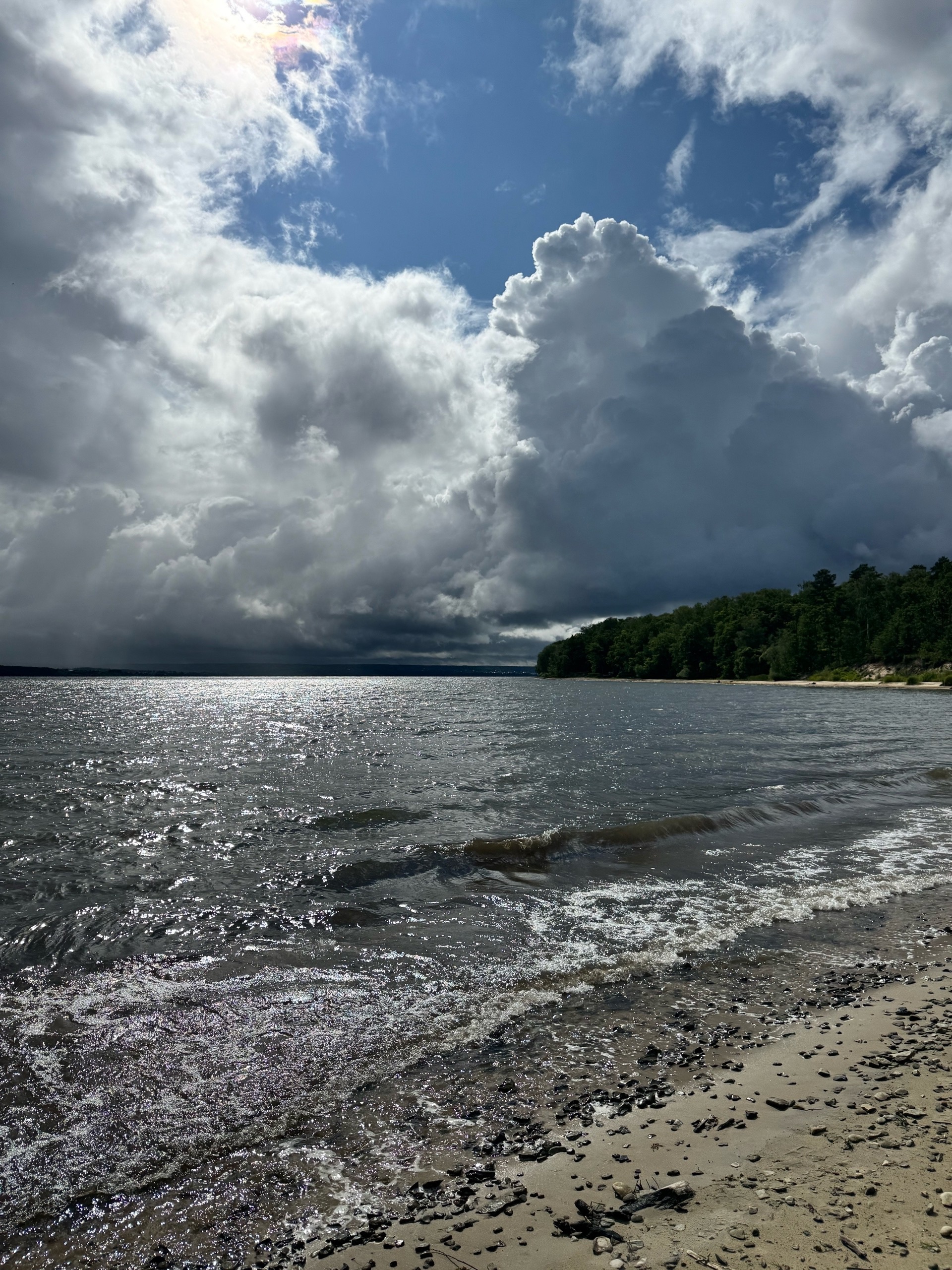 Куда жаловаться на браконьеров на Сурском водохранилище: Ответ Минлесхоза