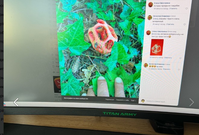 Пензенские грибники обнаружили в лесу «пальцы Дьявола»