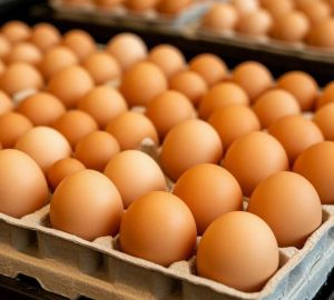 Десяток за 56 рублей: почему падение цен на яйца в Пензе чревато новым кризисом