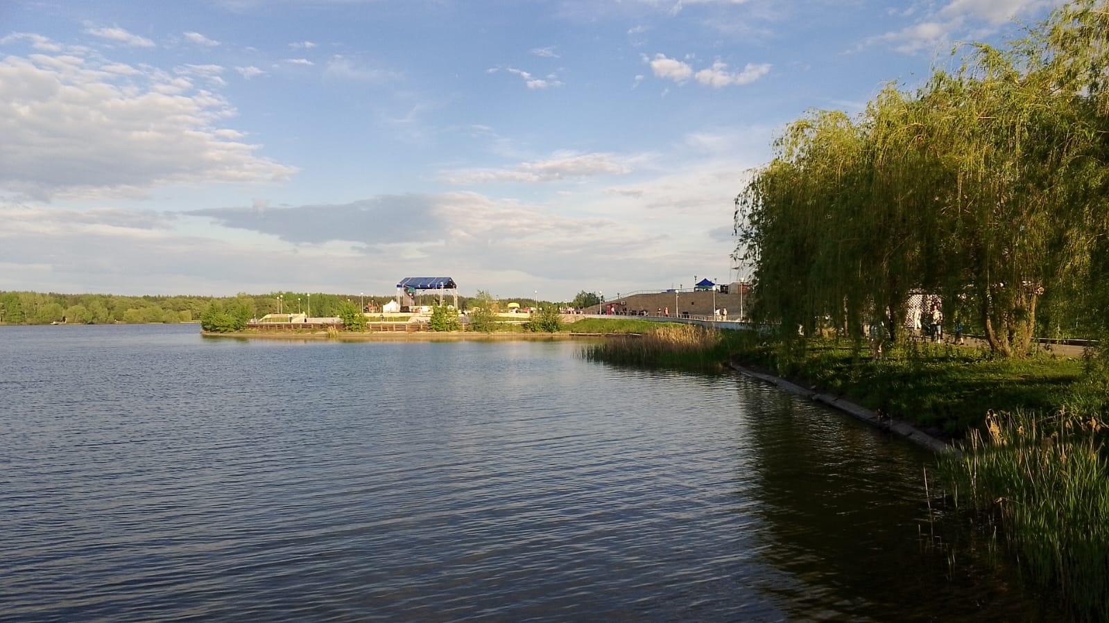 В 2025 году в Пензенской области очистили 70 км рек и озер