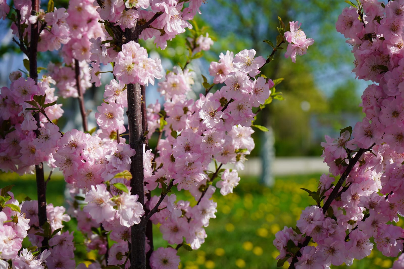 В Волгоградской области разработали турпроект для семей участников СВО