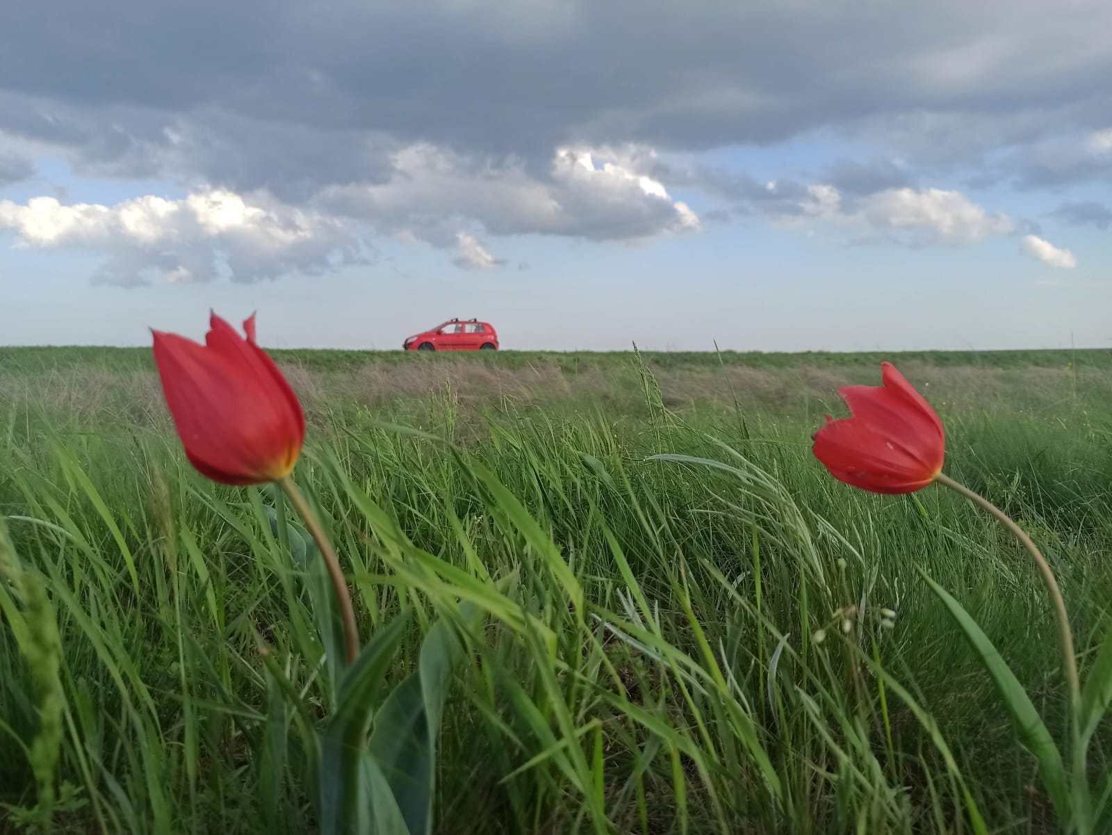 В ВТБ Авто доступны автомобили по параллельному импорту