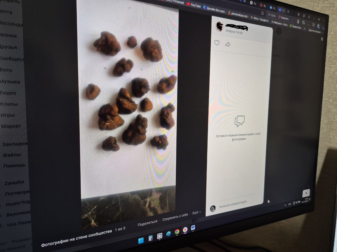 14 «трюфелей»: в Пензенской области продолжают срезать краснокнижные грибы