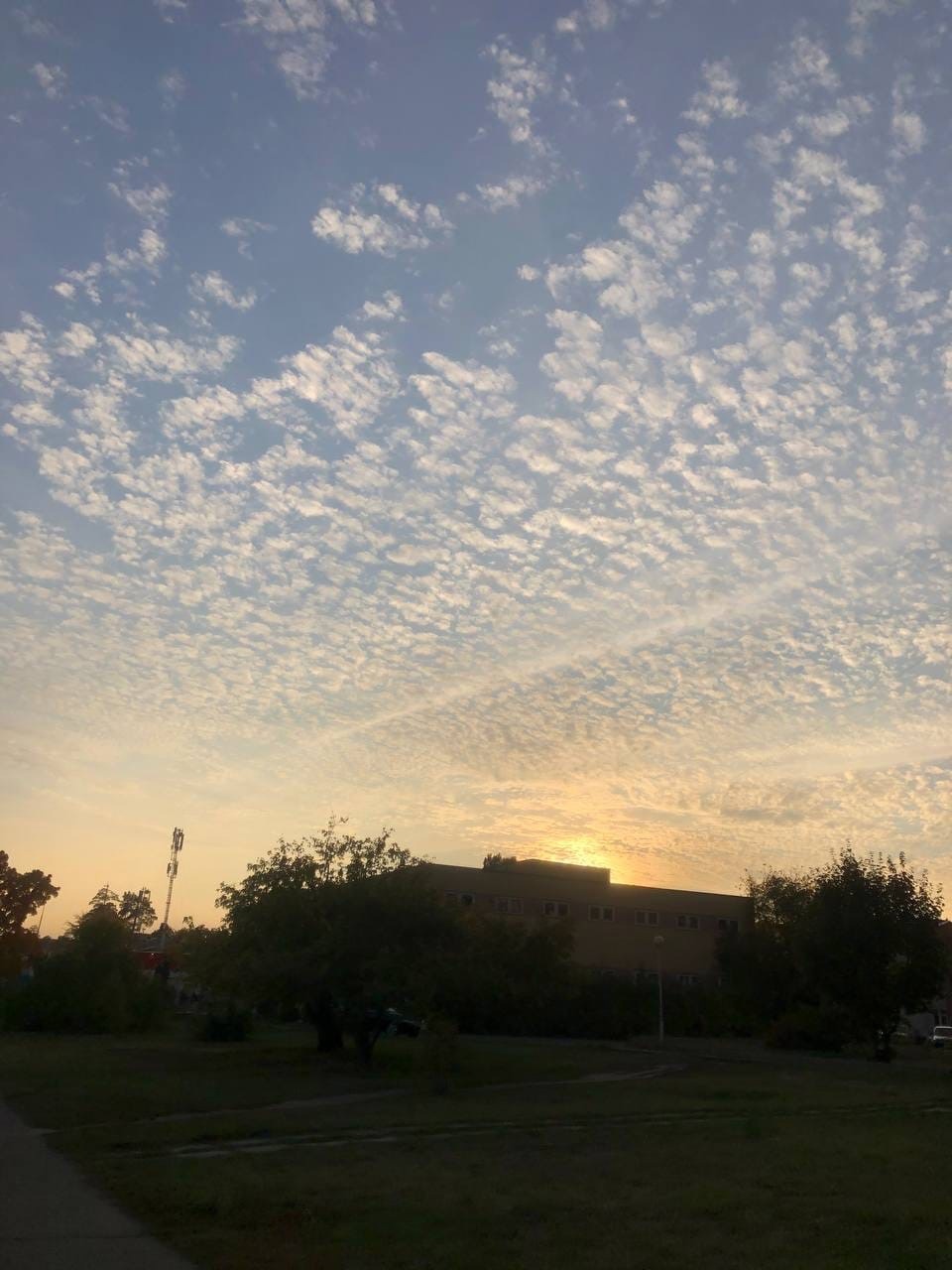 Магнитные бури продолжают влиять на Землю: чего ожидать пензенцам 28 июля