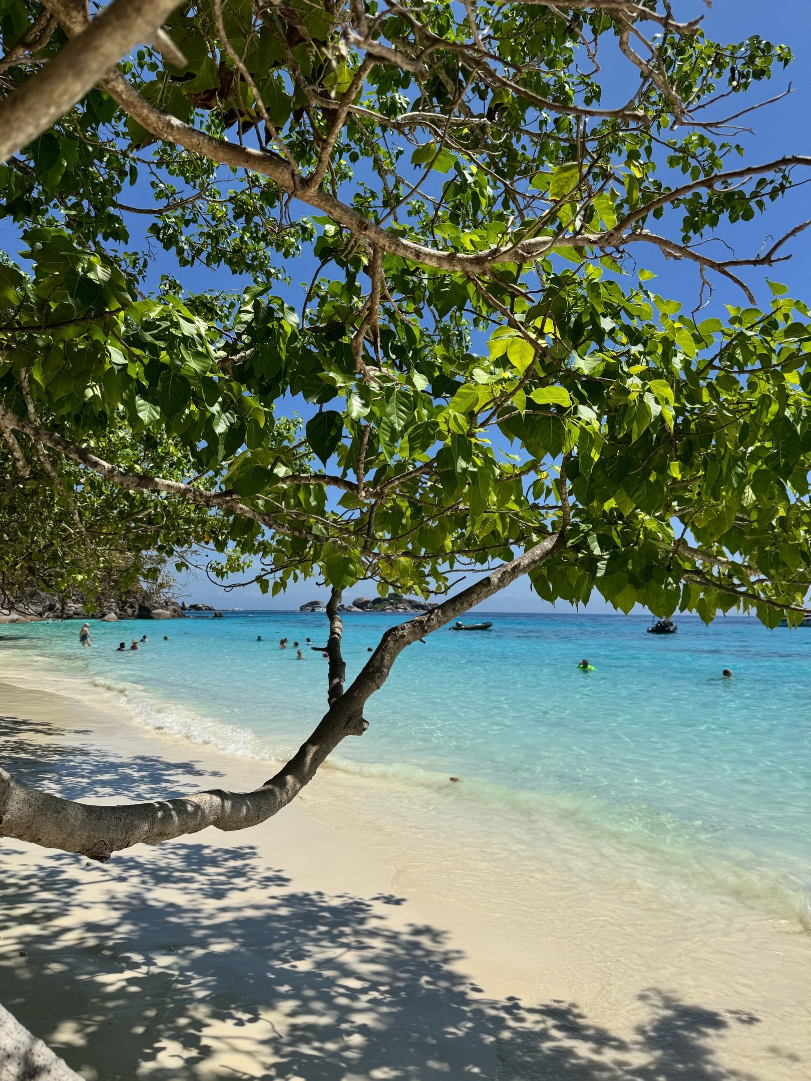 Пхукет теряет популярность: туристы жалуются на толпы и высокие цены