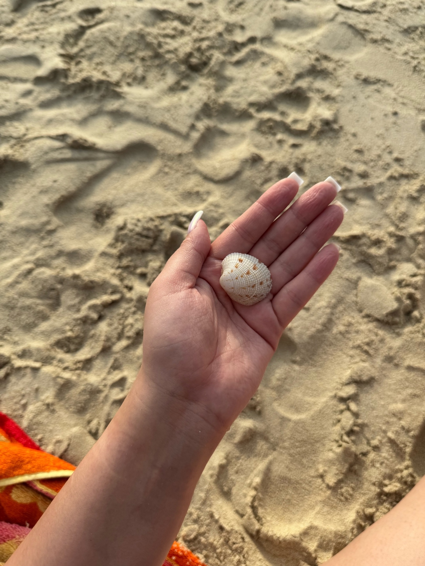 Пляжи Анапы и Темрюкского района остаются закрытыми для купания