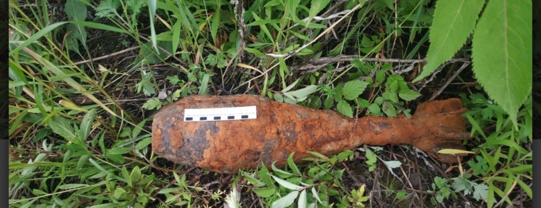 В Пензе на кладбище нашли снаряд времен ВОВ