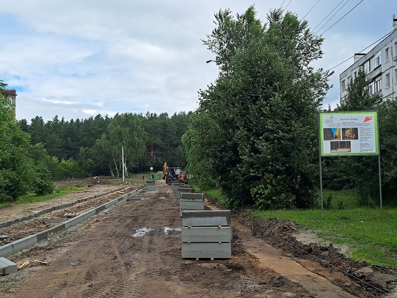 «Сосновый бор»: как в Сердобске идут работы по обустройству зоны отдыха