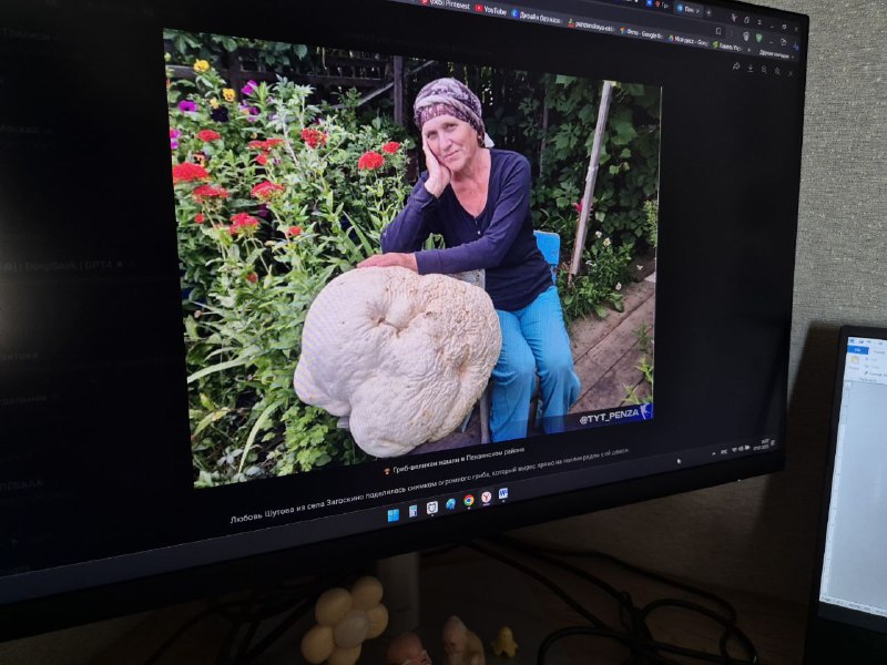 Пензячка показала гриб-великан: находка женщины весит 18 килограммов