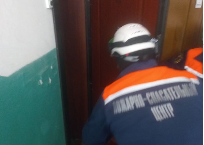 Пензенские спасатели предотвратили падение бабушки с 4 этажа