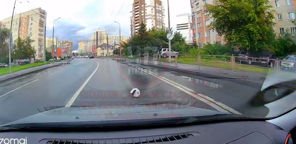 Беглец на колесиках: в Пензе электросамокат чуть не устроил ДТП