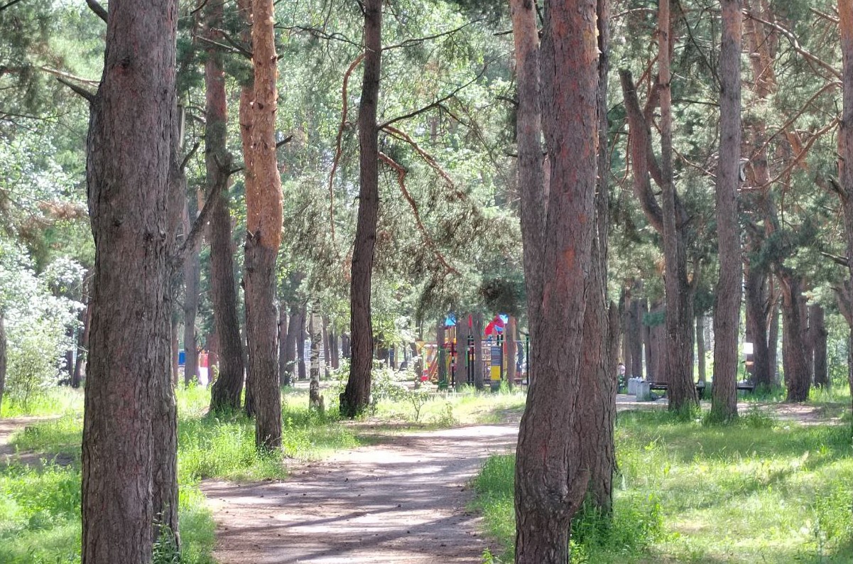 Новые детские площадки, тренажеры и кафе: что появится в сквере «Семейный»