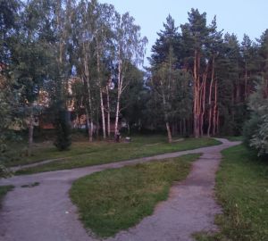 В сквере «Семейный» в Пензе так и не начали благоустройство
