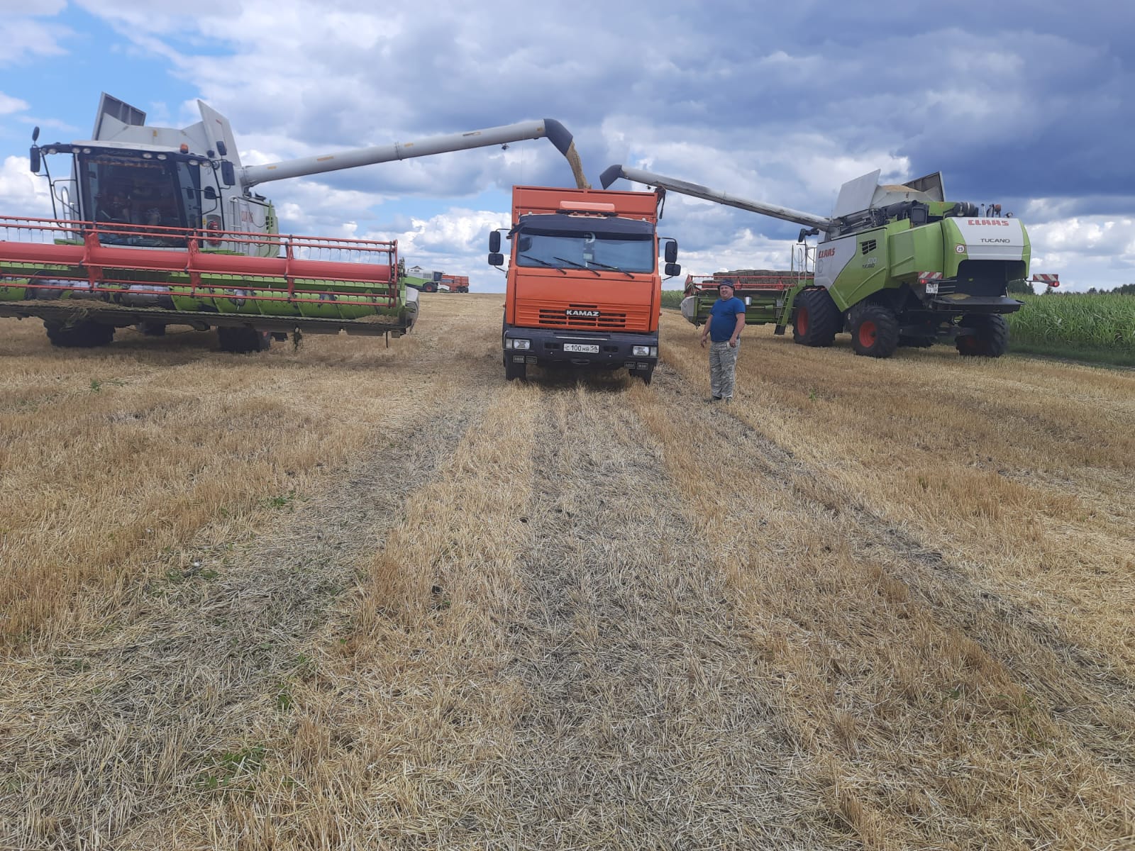 Уборочная кампания в Кузнецком районе: собрано более 6 тысяч тонн зерна