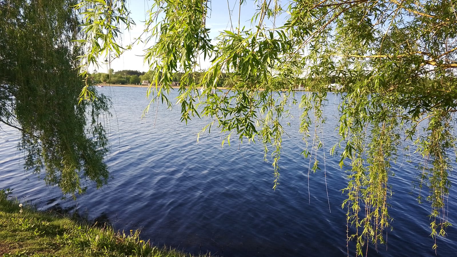 Зареченцев приглашают на уборку пруда в зоне отдыха «Лесная»