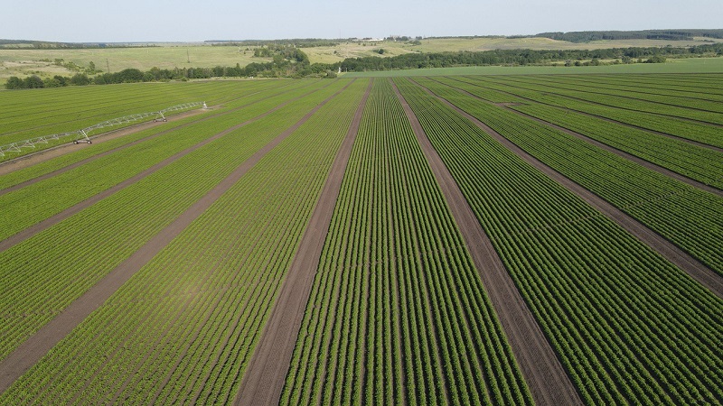 В Пензенской области вернули в оборот две тысячи гектаров пашни