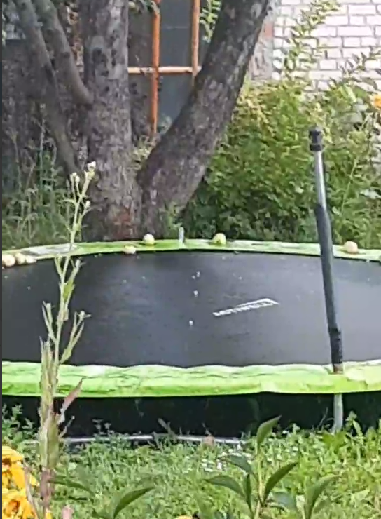 В Пензе выпал град, размером с вишню, фото