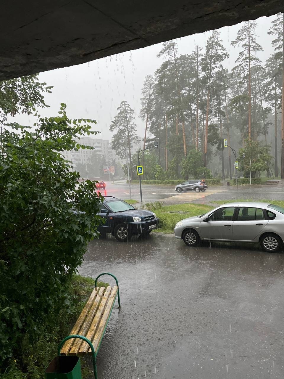 Грозу и ветер обещают пензенцам в пятницу 25 июля