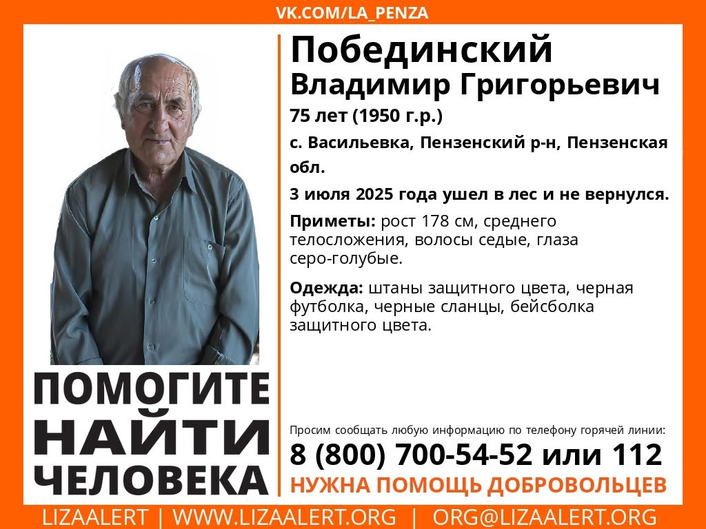 В Пензенском районе ищут 75-летнего мужчину, ушедшего в лес