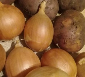 В России предлагают заморозить цены на продукты первой необходимости